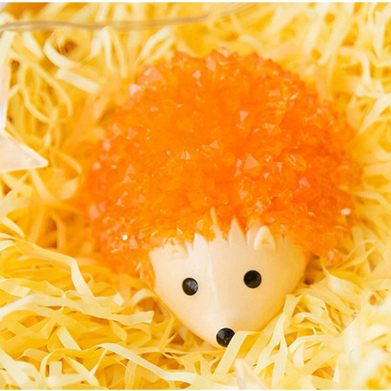 Crystal Growing Hedgehog Science Kit for Kids