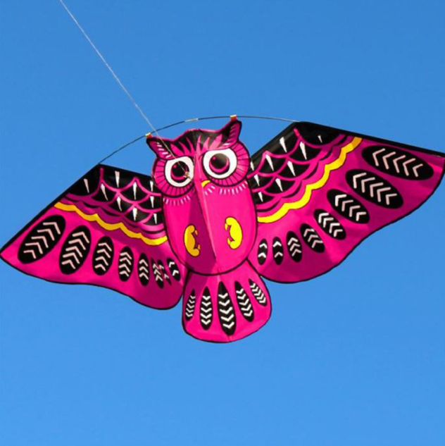 Kids Owl Kite - Easy-Fly Cartoon Kite for Outdoor Family Fun