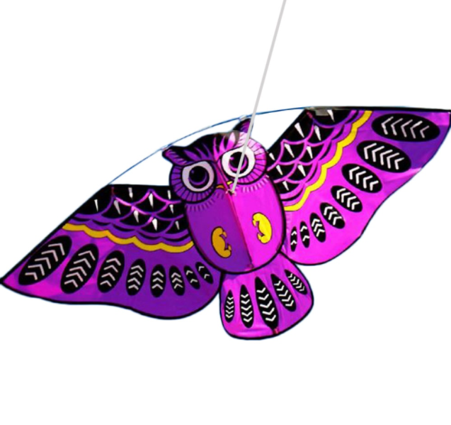 Kids Owl Kite - Easy-Fly Cartoon Kite for Outdoor Family Fun