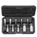 XZN Triple Square Spline Bit Socket Set