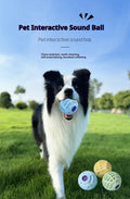Interactive Pet Sound Ball - Squeaky Silicone Toy for Dogs & Cats