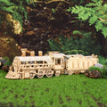 3D Wooden Puzzle Mechanical Train - DIY Brain Teaser Model Building Kit & Gift