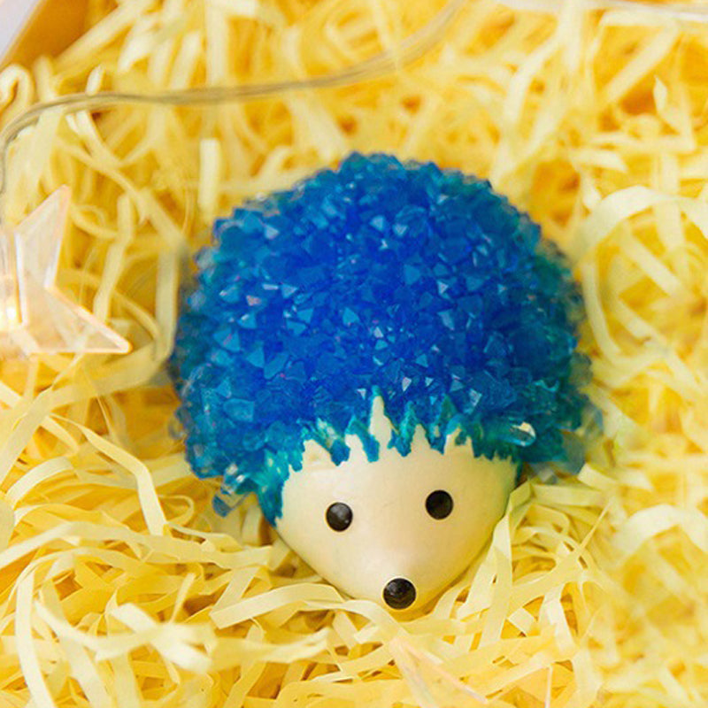 Crystal Growing Hedgehog Science Kit for Kids