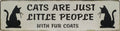 Plaque