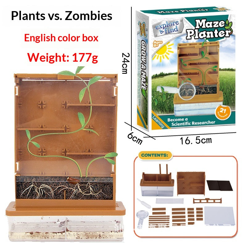 DIY Plant Growing Maze Kit - Kids Science & Nature Educational Toy