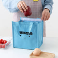 Kids Insulated Lunch Bag - Cartoon Thermal Cooler Tote for School
