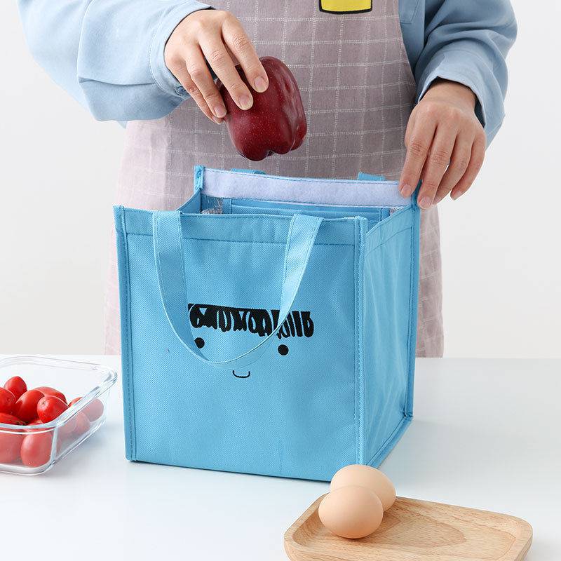 Kids Insulated Lunch Bag - Cartoon Thermal Cooler Tote for School