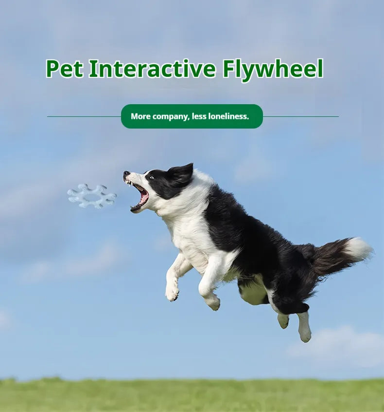 Pet Interactive Flywheel Toy - Silicone Tug & Spin Bonding Toy for Dogs