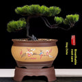 Keramik bonsai guldon