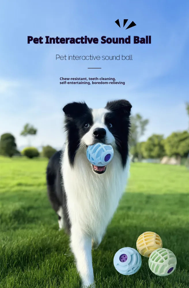 Interactive Pet Sound Ball - Squeaky Silicone Toy for Dogs & Cats