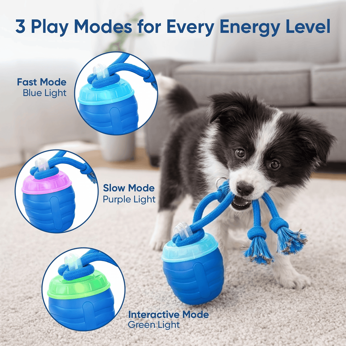 Smart Interactive Dog Ball - Motion-Activated Self-Rolling Toy to Keep Dogs Busy